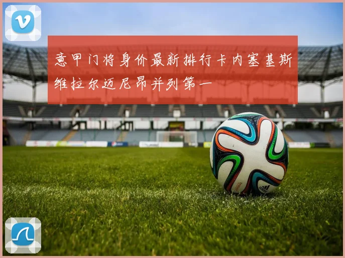 意甲门将身价最新排行卡内塞基斯维拉尔迈尼昂并列第一