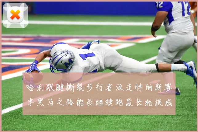 哈利跟腱撕裂步行者放走特纳新赛季黑马之路能否继续跑轰长轮换成关键