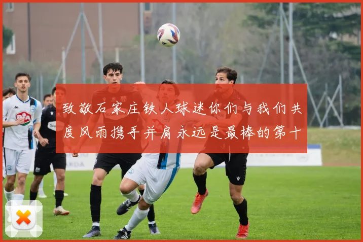 致敬石家庄铁人球迷你们与我们共度风雨携手并肩永远是最棒的第十二人