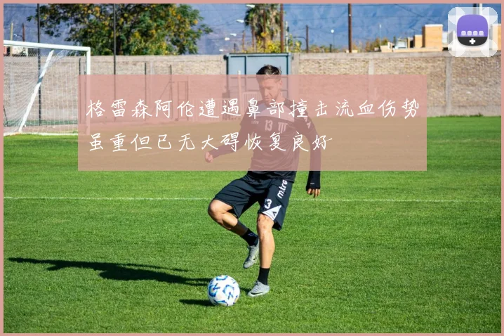 格雷森阿伦遭遇鼻部撞击流血伤势虽重但已无大碍恢复良好