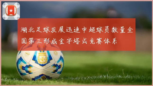湖北足球发展迅速中超球员数量全国第三形成金字塔式竞赛体系