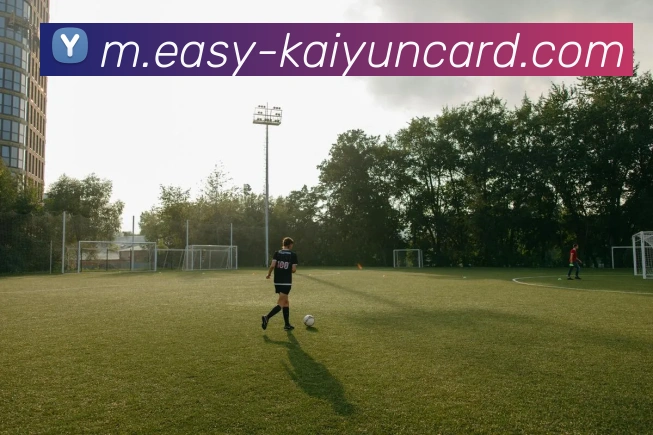 多媒体互动体验